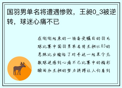 国羽男单名将遭遇惨败，王昶0_3被逆转，球迷心痛不已